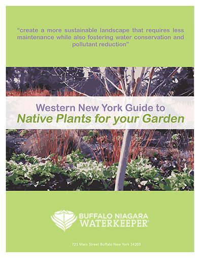 Native Plant Guide Cover Page