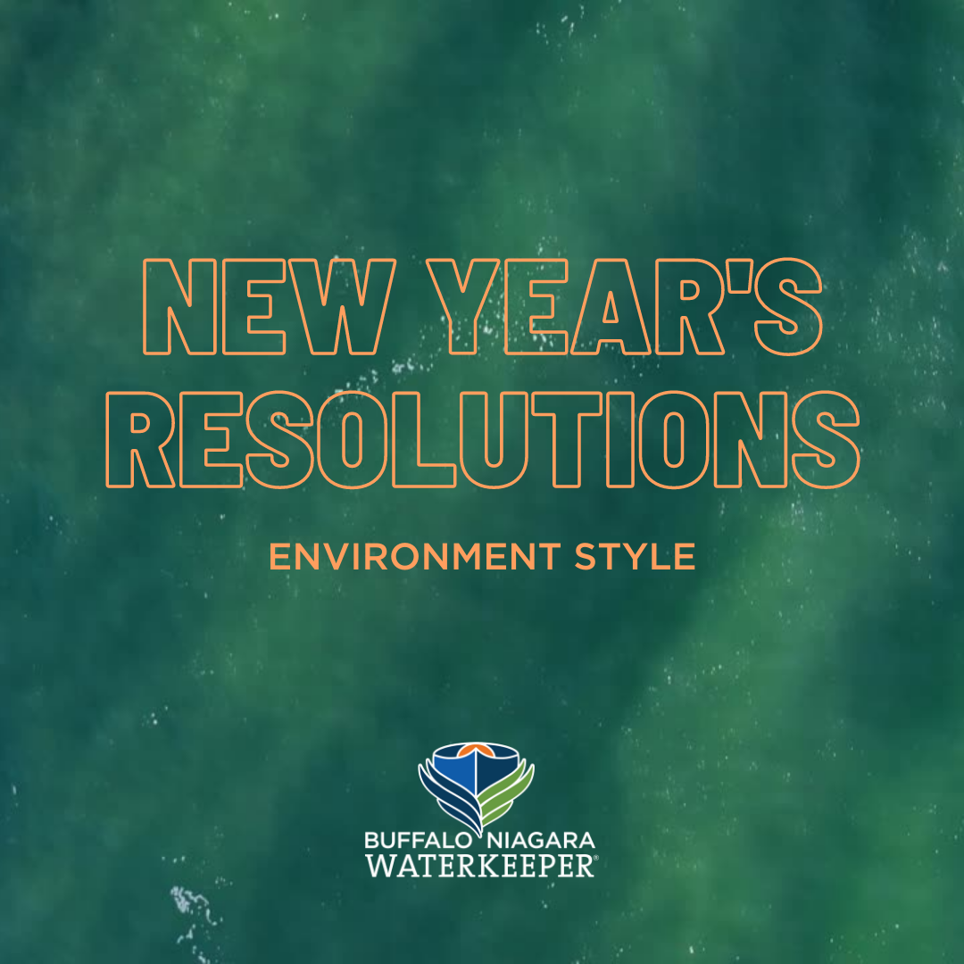 3 Environmental New Year’s Resolutions