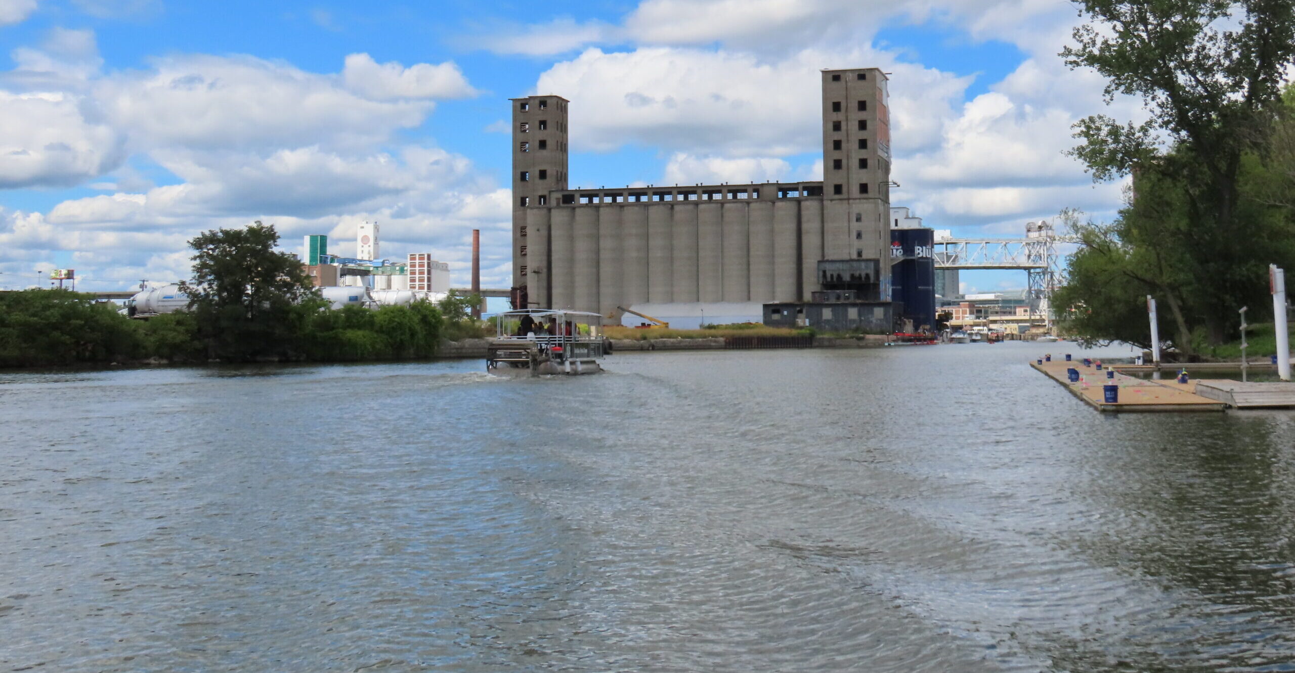 Degradation of Benthos – BUI 6 Report on Buffalo River
