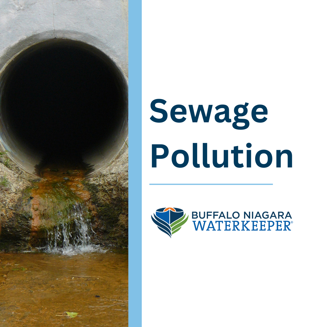 Sewage Pollution Buffalo Niagara Waterkeeper