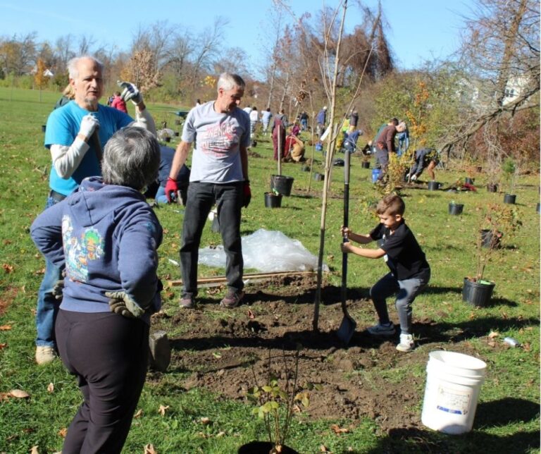 Planting trees and shrubs in Jayne Park on Cayuga Island with RestoreCorps volunteers. This was in Nov. 2024.