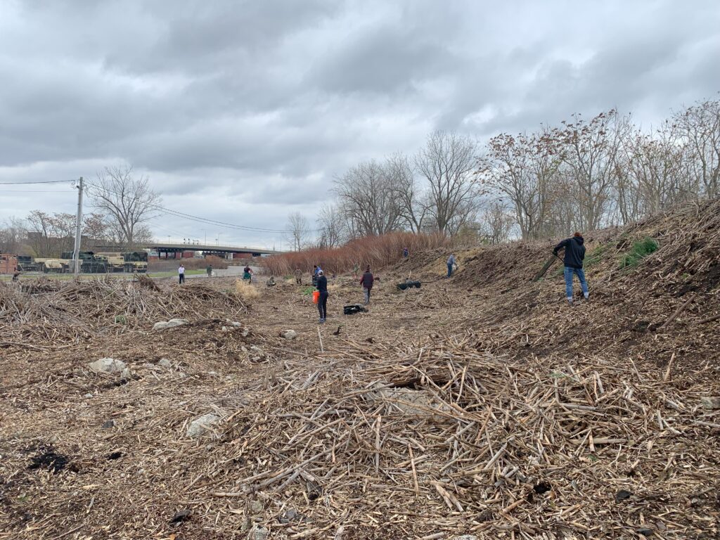 Buffalo River stewardship event by Red Jacket Park, November 2024.